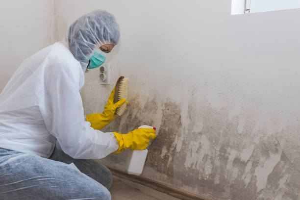 Best Crawl Space Mold Removal  in Floydada, TX