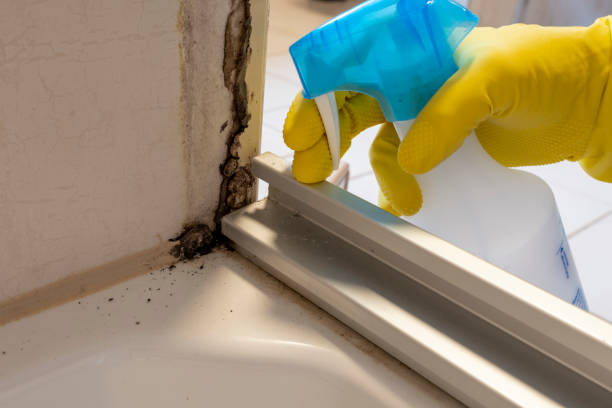 Best Office Mold Removal Services  in Floydada, TX