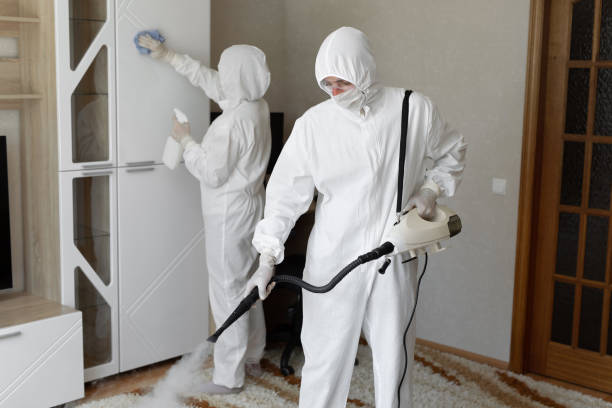 Best Residential Mold Removal  in Floydada, TX