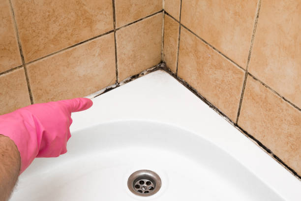 Best Mold Testing and Removal  in Floydada, TX